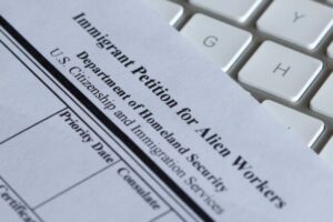 professional migration agent