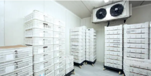industrial refrigeration innovation