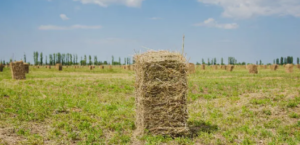baler twine